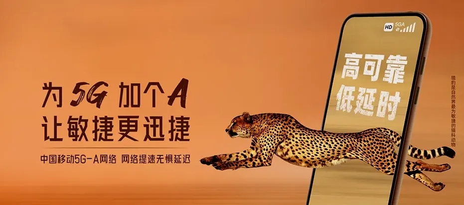 肃宁县肃宁县师素镇 移动宽带